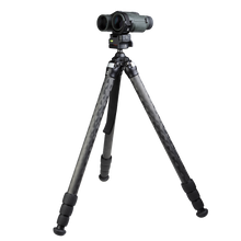 CINCH-LR Elite
