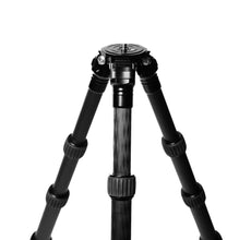 No Name V2 LS I (Leg Stopper / Inverted)